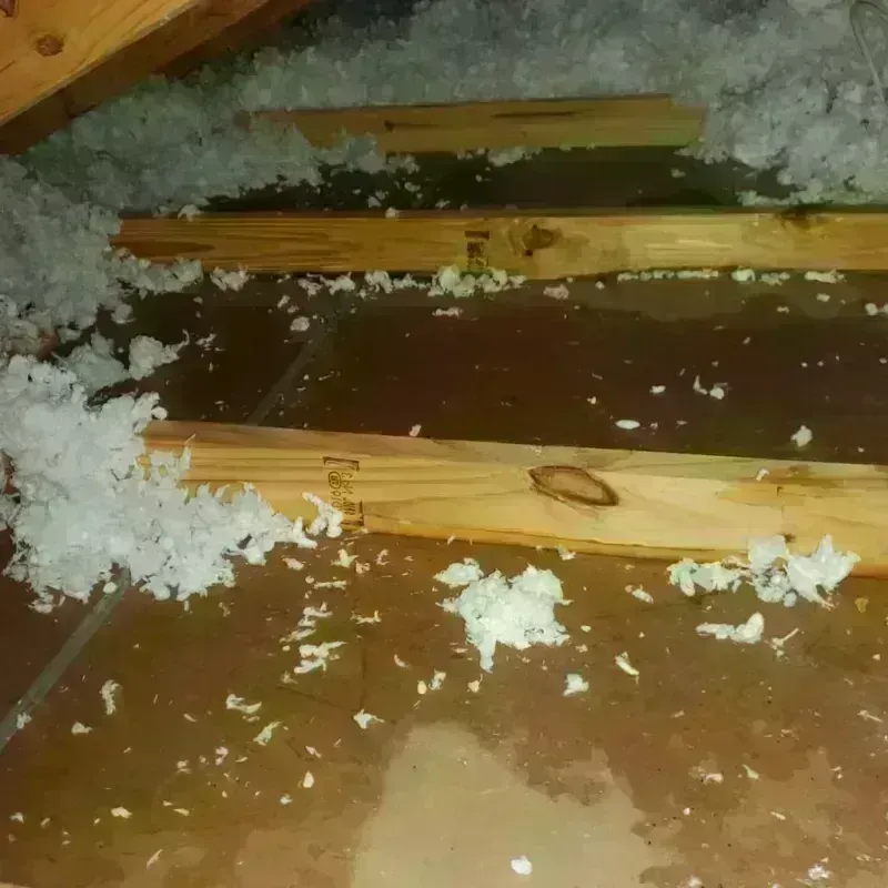 Attic Water Damage in Hillsboro, OR